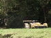 enregistr le 07/10/2002
dimensions : 450*337
fichier : 112-1269_IMG.jpg
poids : 39 Ko
