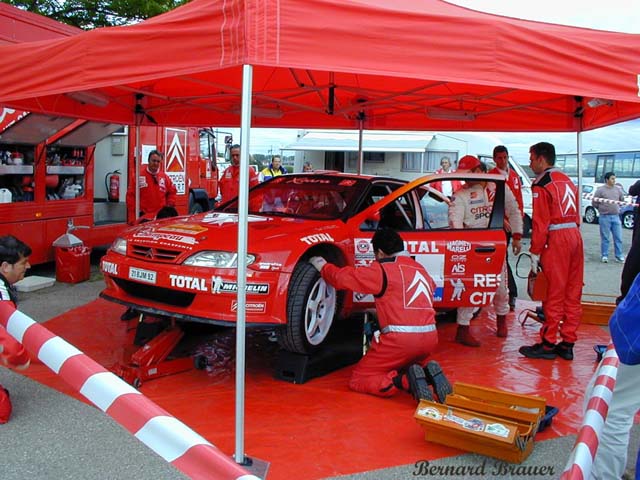 sebastien_loeb4.jpg